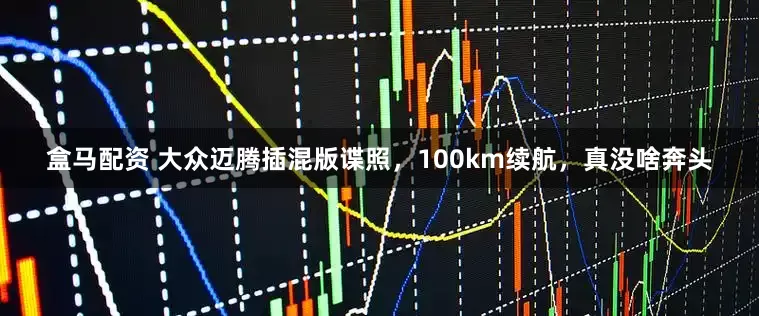 盒马配资 大众迈腾插混版谍照，100km续航，真没啥奔头